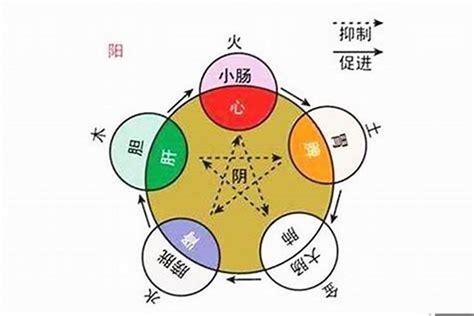 邱字五行|邱的五行属性是什么